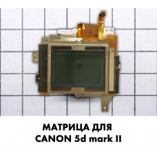 Матрица Canon 5d mark II 